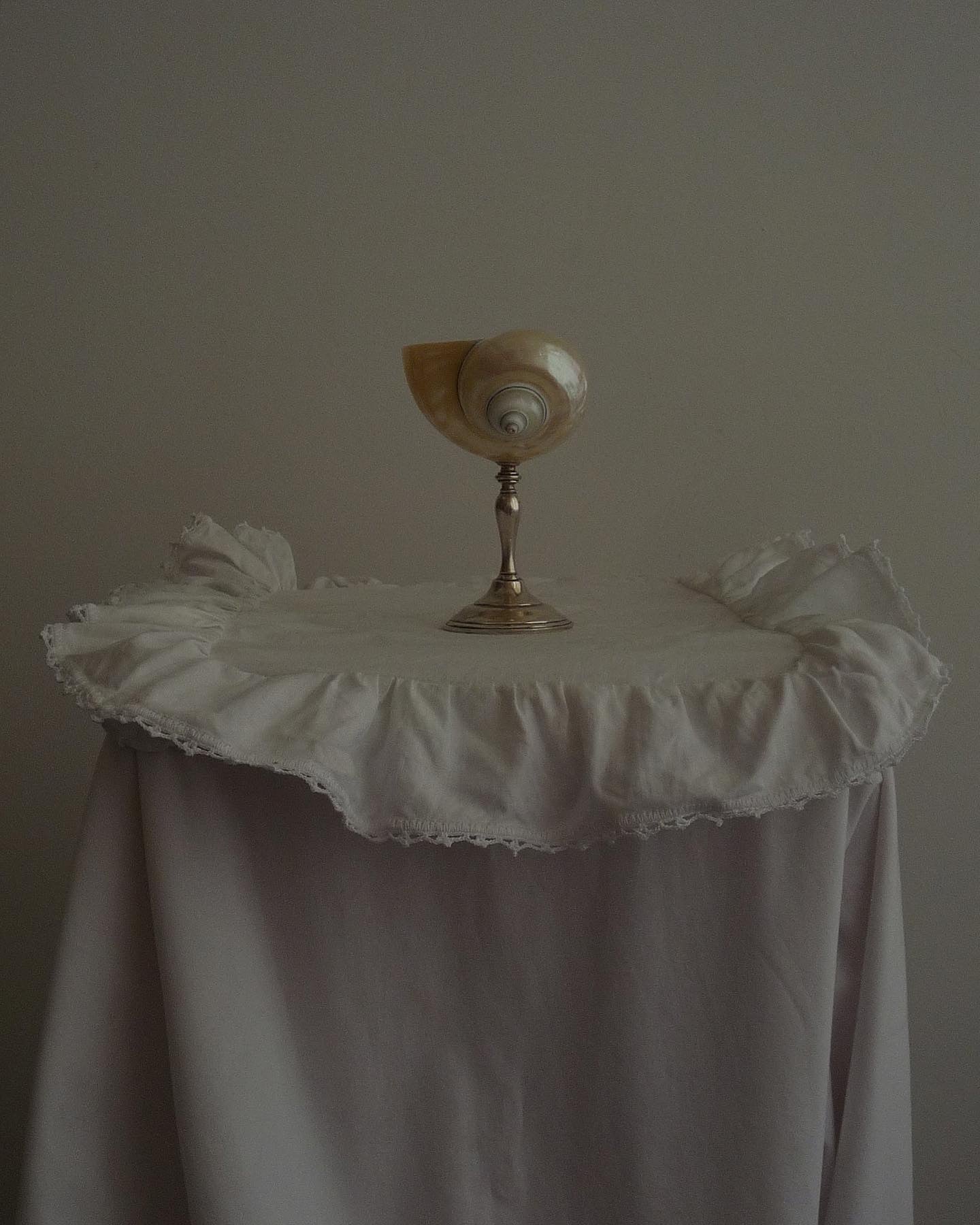 Set of two curly shell glasses with silver stem