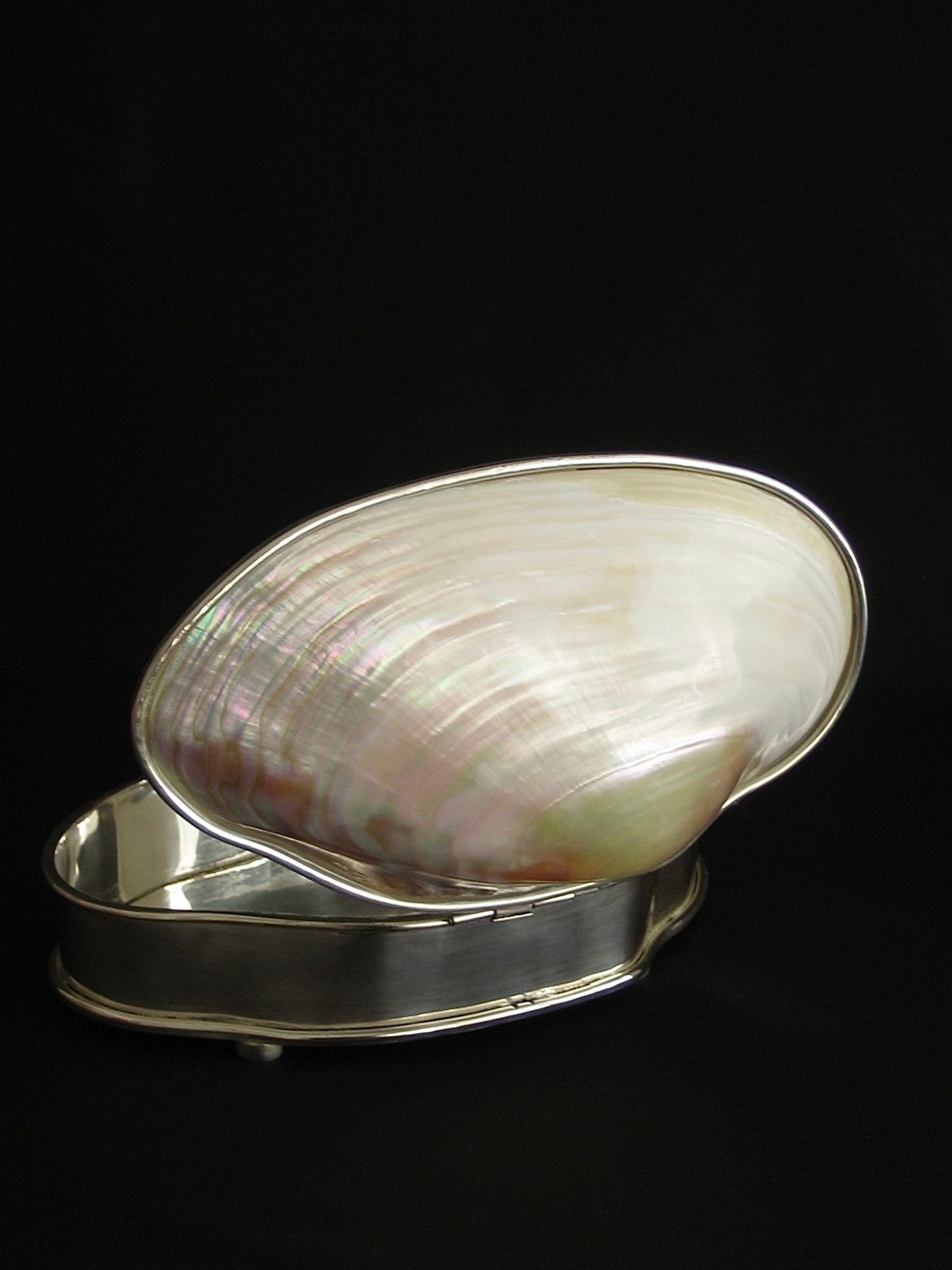 Unique Shell Silver Plated Box