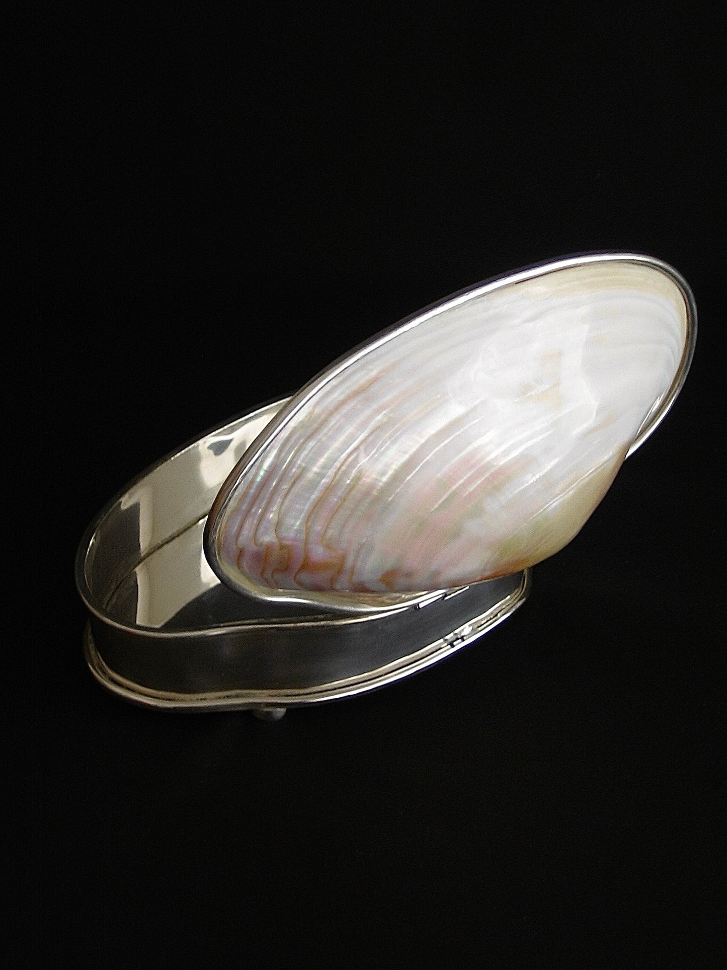 Unique Shell Silver Plated Box