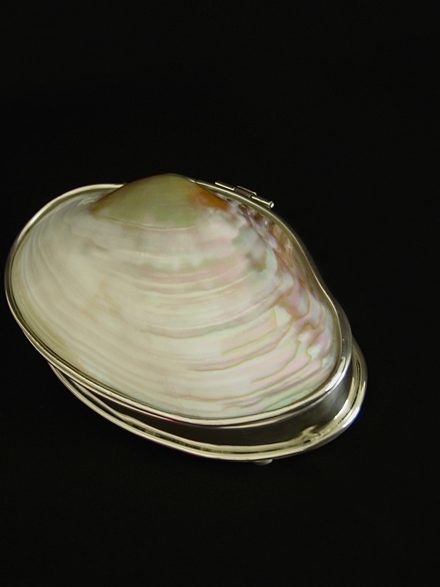 Unique Shell Silver Plated Box