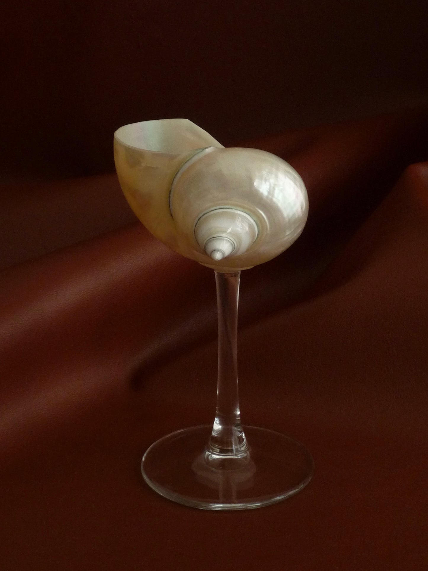 Сurly shell glass with glass stem