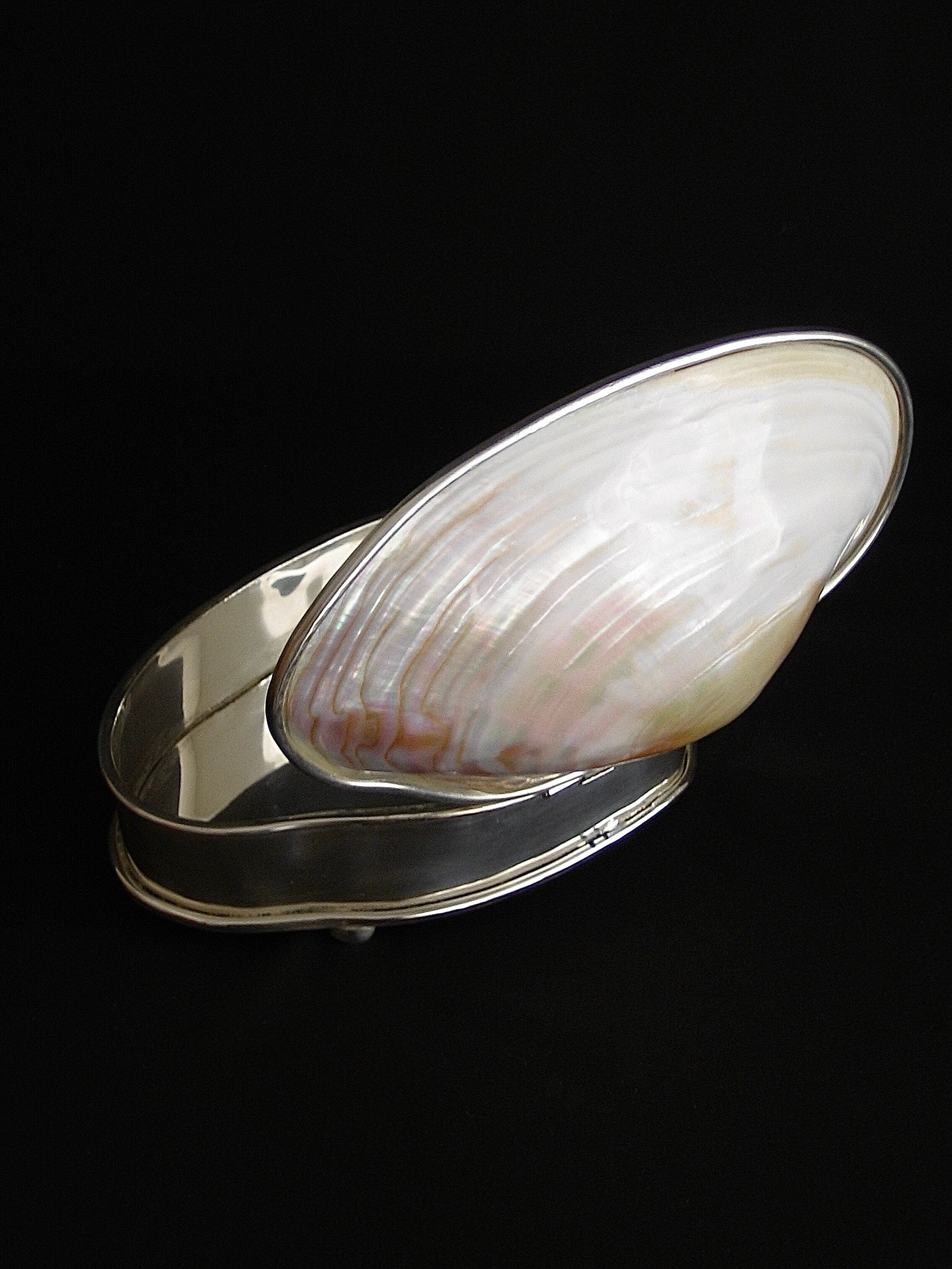 Shells collection – CENTÁ